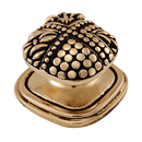 Medici - Large Rounded Square Knob - Antique Gold