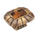 Precious Inlays - 1.5" Cabinet Knob - Tiger Penshell/ Estate Dover