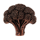 Fiori - Broccoli Knob - Antique Copper