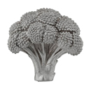 Fiori - Broccoli Knob - Satin Nickel