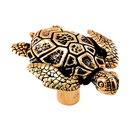 Pollino - Turtle Knob - Antique Gold