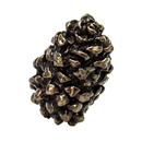 Pinecone - 1" Cabinet Knob