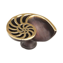 980L-PB/BZ - Nature - Shell Cabinet Knob - (Left Hand)